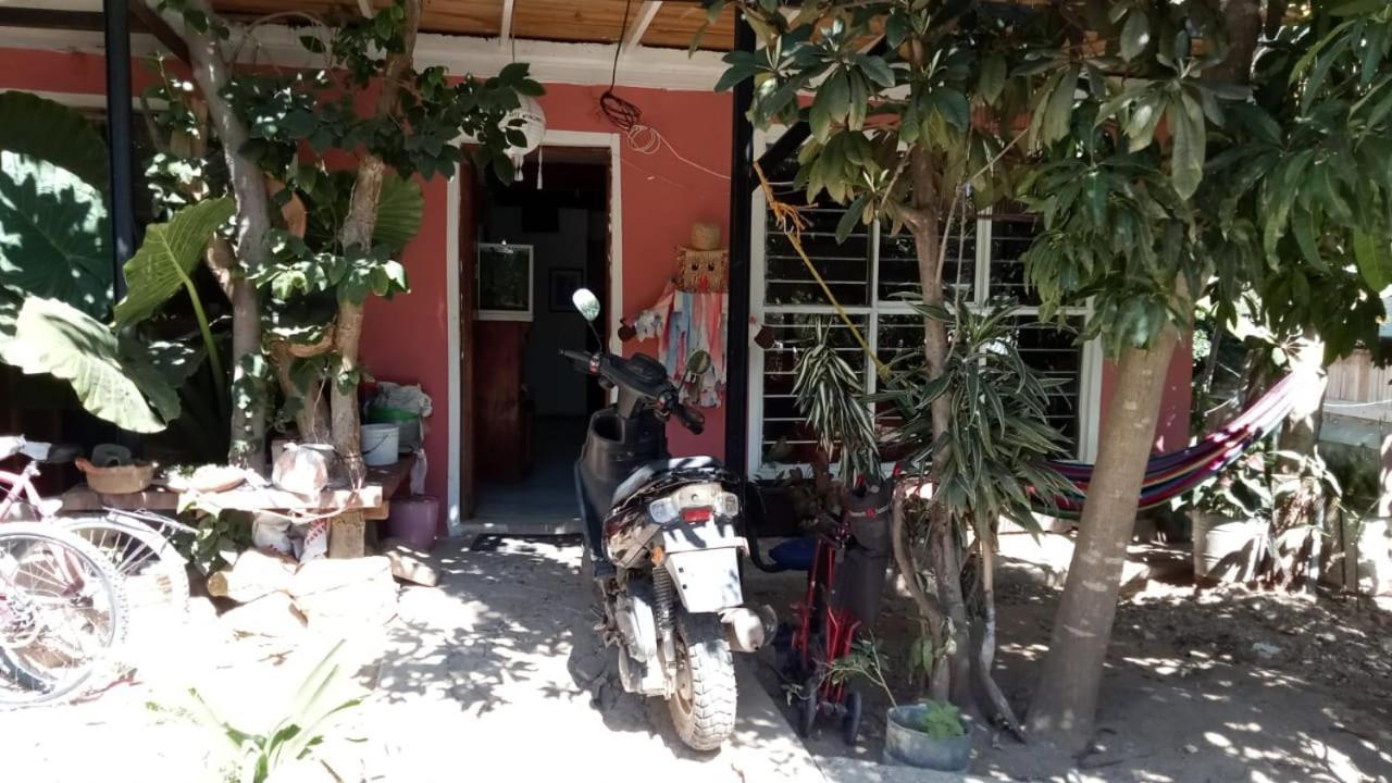 La Casa Del Nenufar Hotel Oaxaca Buitenkant foto