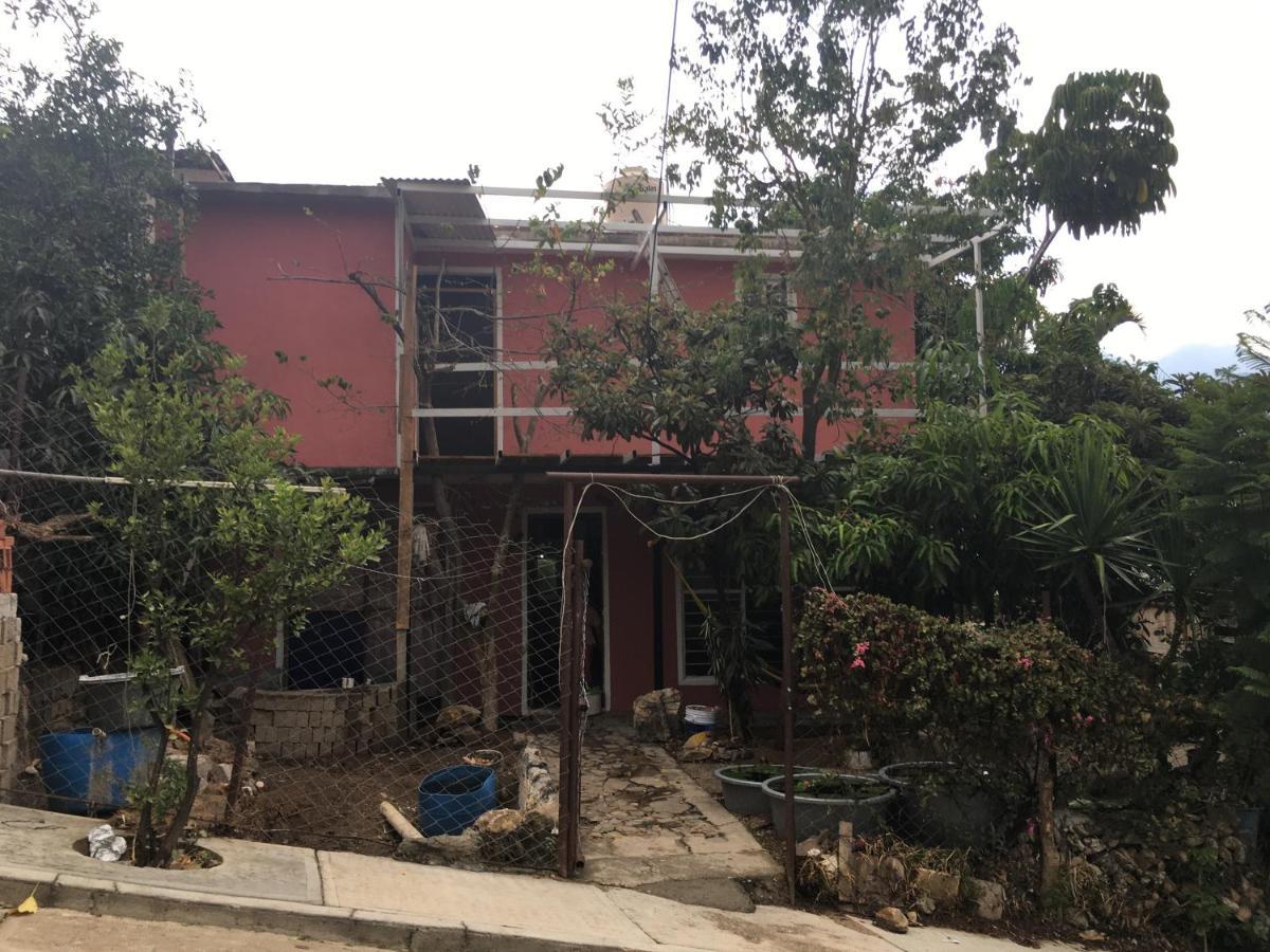 La Casa Del Nenufar Hotel Oaxaca Buitenkant foto